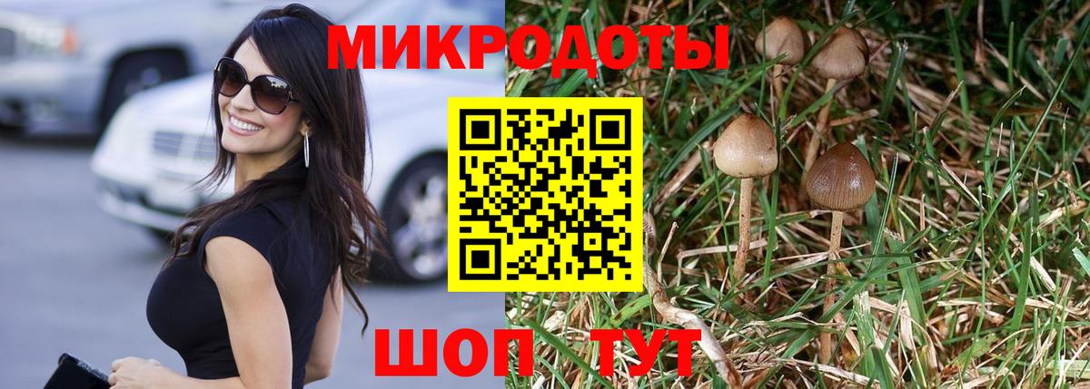 Протвино  Псилоцибиновые грибы Psilocybine cubensis  Вход с VPN 