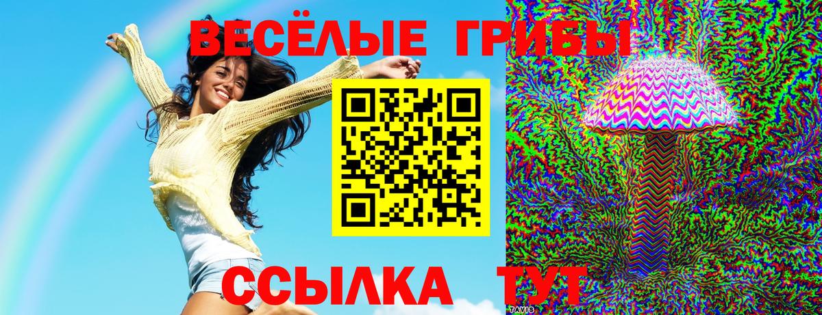 Галлюциногенные грибы Cubensis Протвино